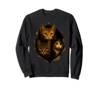 Funny Trio of Curious Kittens Cat Lovers Cat Owner for Kids Sweatshirt