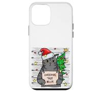 Funny True Crime Christmas Cat Dad Grumpy Serial Killer Cat Case for iPhone 12 mini