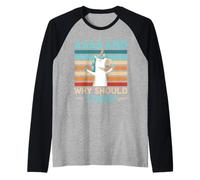 Funny Unicorn Retro “Why Should I Care” Design Raglan Baseball Tee