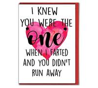 Funny Valentine’s Card I Knew You Were The One When I Farted Love Anniversary Rude Humour A31