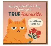 Funny Valentine’s Day Card - Grumpy Ginger Cat ‘From Your True Favourite’ - Humorous Cat Lover Card - We All Know That’s Me - For Him or Her, Boyfriend, Girlfriend, Husband, Wife