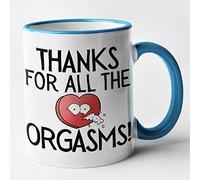 Funny Valentines/ Anniversary Mug - Thanks for All The Orgasms (Blue)