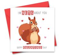 Funny Valentine's Day Card for Him or Her - Valentine's Day Card for Girlfriend, Boyfriend, Husband or Wife - Valentine's Day Card for Fiance Fiancee - Nuts About You Squirel Joke Valentines Card