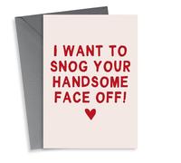 Funny Valentines Day Card - I want to snog your handsome face off