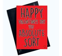 Funny Valentines Day Cards You Absolute Sort Funny Greeting Cards for Him Profanity Cards for Him Valentines Card for Boyfriend Husband Fiancé Fiancée LGBTQ LGBT Gifts Comedy PC693