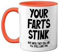 Funny Valentines Gifts for Him - Your Farts Stink Mug - Funny Mugs for Men, Birthday Gifts Boyfriend Husband Dad, Joke Novelty Present, I Love You Daughter Son Wife, 11oz Orange Ceramic