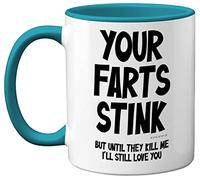 Funny Valentines Gifts for Him - Your Farts Stink Mug - Funny Mugs for Men, Birthday Gifts Boyfriend Husband Dad, Joke Novelty Present, I Love You Daughter Son Wife, 11oz Light Blue Ceramic