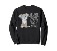 Funny Vasectomy Recovery Cone Joke for Dog Dads Men Sweatshirt