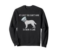Funny Vasectomy Recovery Cone Joke for Dog Dads Men Sweatshirt