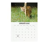 Funny Wall Calendar,Cute Monthly Daily Butt Planner | 2026 Cat Balls Calendar | for Kids Women Adults Kitten Lover Wall Daily Time Tracking