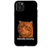 Funny Weird Cat Face Meme Silly Hilarious Mad Cat Confused Case for iPhone 11 Pro Max
