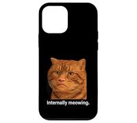 Funny Weird Cat Face Meme Silly Hilarious Mad Cat Confused Case for iPhone 12 mini