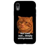 Funny Weird Cat Face Meme Silly Hilarious Mad Cat Confused Case for iPhone XR