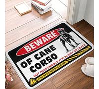 Funny Welcome Mats for Front Door Beware of Cane Corso Doormat Bedroom Door Decorations Fall Door Decorations (Size : 65X90CM)