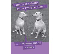 Funny Whippet Birthday Card - Humorous Dog Lover Greeting Card - Comedy Whippet Photo Birthday Card for Him or Her - Fun Dog-Themed Card with Envelope