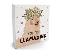 Funny You are Llamazing Wooden Box Sign Rustic Llama Lovers Wood Box Sign Art Home Living Room Bedroom Shelf Desk Decoration Present 5x5 Inch
