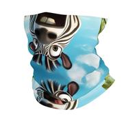 Funny Zebra Print Headband Neck Gaiter Head Wrap Headwear