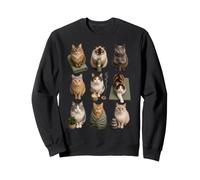 Funny Zen Yoga Cats Meditation Wellness Cat Lover Cat Mom Sweatshirt
