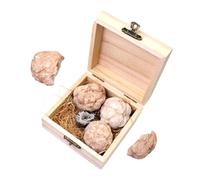 FUNOMOCYA 1 Box Gem Dig Kit for Educational Gemstones Excavation with Safe Materials Fun Geology Mining Activity for Adults Includes Natural Crystal Specimens Birthday