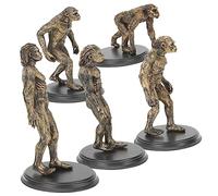 FUNOMOCYA 1 Set Educational Human Evolution Model of Realistic Statues for Teaching Tools for Imagination and Knowledge Development for Boys