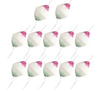 FUNOMOCYA 12Pcs Kerosene Lamp Mantles Mesh Gauze Wick Veil Cover for Camping Lanterns, Medium Size Lantern Accessories for Outdoor Hiking and Gaslight Lamps