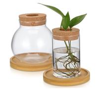 FUNOMOCYA 2 Pcs Hydroponic Plant Vase with Lid Glass Terrarium Propagation Station for Indoor Plants Elegant Round Glass Planters with Bamboo Base Transparent Desktop Display for Office