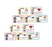 FUNOMOCYA 2 Sets Preschool Flash Cards for Early Childhood Education Cognitive Development Learning Posters with Vivid Illustrations Language Support Safe Materials for Classroom Decoration