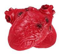 FUNOMOCYA 2Pcs Halloween Fake Heart Props Realistic Human Organ Decorations Vinyl Scary Tricky for Haunted House Party Scare Effects