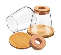FUNOMOCYA 2pcs Hydroponic Propagation Station Glass Plant Vases with Wooden Stand 330ml Water Planting Bottles for Indoor Plant Display and Growing Cuttings