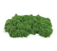 FUNOMOCYA Artificial Moss for Crafts Bag Deep Green Fake Lichen for Indoor Potted Plants Fairy Garden DIY Decorative Model Making Terrarium Vase Filler Maintenance Natural Look