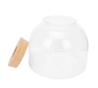 FUNOMOCYA Diy Micro Landscape Bottle Wooden Stopper Creative Terrarium for Office Desk Decor Fun Miniature Eco Bottle for Indoor Gardening