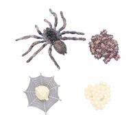 FUNOMOCYA Educational Animal Model Set Life Cycle for Early Learning Growth Stages Figures Multipurpose Garden and Home Decoration