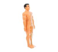 FUNOMOCYA Human Body Anatomy Puzzle for Translucent Educational Model with Removable Organs Bones Engaging Cognitive Learning for Imaginative Play and Intellectual Growth
