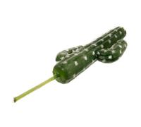 FUNOMOCYA Irregular Green Fake Cactus Simulation Plant Large for Aquarium Dioramas Fairy Gardens Terrariums and Home Decor