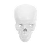 FUNOMOCYA Mini Human Skull Model with Moving Jaw Detailed Anatomy Plastic Skull for Student Study and Halloween Table Decorations