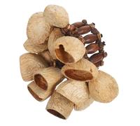 FUNOMOCYA Natural African Nut Shell Hand Bell Bracelet Tribal Wrist Shaker for Yoga Dance Party Ethnic Percussion Accessory for Group Jams and Festival Rhythm