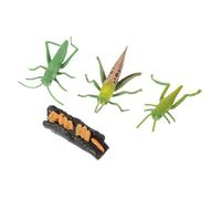 FUNOMOCYA Simulation Growth Cycle Model for Plastic Insect Educational Playthings for Science Learning and Cognitive Development Safe Non-toxic Material Easy to Clean