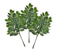 FUNORNAM 12Pcs Italian Ruscus Greenery Stems Artificial Silk Greenery Leaves Garland Vines Hanging Spray for DIY Wedding Arch Bouquet Filler Table Centerpieces Home Indoor Decor