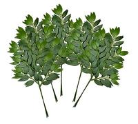 FUNORNAM 18Pcs Italian Ruscus Greenery Stems Artificial Silk Greenery Leaves Garland Vines Hanging Spray for DIY Wedding Arch Bouquet Filler Table Centerpieces Home Indoor Decor