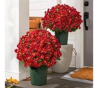 Funsdecor Artificial Mums, Artificial Outdoor Sunset Mums Flowers - UV Resistant,Look Real Mums,Never Faded for Garden, Porch, Home Decor (Red(5 Bundle))