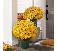 Funsdecor Mums, Artificial Mums for Outdoors, Artificial Sunset Mums, Artificial Outdoor Sunset Mums Flowers, Fake Mums Fall Flower Daisy with Eucalyptus, UV Resistant, Look Real (5 Bundle Gold)
