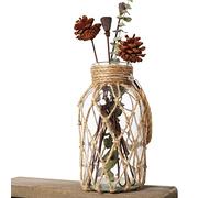 Funsobalgs Rustic Hanging Mason Jar Creative Rope Net Dry Flower Glass Vase with Handle (1 Vase 8")