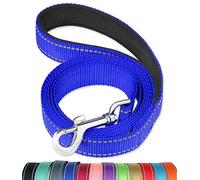 FunTags 6FT Reflective Dog Leash with Soft Padded Handle for Training,Walking Lead for Large & Medium Dog,1 Inch Wide,Royal Blue