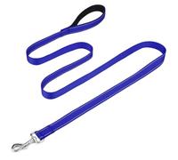 FunTags Reflective Nylon Dog Leash for Medium & Large Dogs, 6FT for Walks