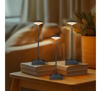 FUNTAPHANTA 3 Pack Small Gold Rechargeable Cordless Table Lamps Dimmable