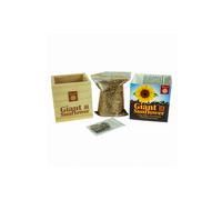 Funtime Gifts Grow Your Own Giant Sunflower