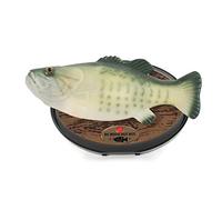 Funtime Gifts SS5600 Singing Sensation Billy Bass- Sings I Will Survive, 28 cm Long Colour Green