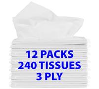 Funwares Facial Tissues Travel Size Pack for Car or Purse, 240 Sheets, Wood Pulp, White, 20 Count (Pack of 12)