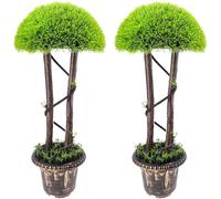 Funzhan 2pcs Artificial Topiary Cedar Trees Outdoor Indoor Decoration 80CM Mushroom Shaped Faux Pine Shrubs Plant Fake Ball Bushes Cypress Boxwood Topiary Evergreen for Patio Decor
