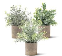Funzhan 3pcs Fake Eucalyptus Potted Mini Artificial Plant Rosemary Decoration Realistic Topiary Model Lifelike Grass Display Indoor Party Shelf